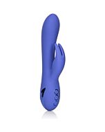 Coniglietto Beverly Hills