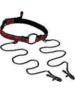 Bavaglio di scandalo con una pinza per bondage