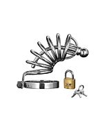 Asilo - dispositivo di castità 6 anelli