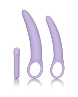 Dlb set dildo in silicone isabelle - viola