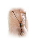 Pinze per capezzoli fantasia fetish con anello per pene