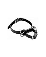 Sistema di ritenuta del ginocchio