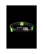 Ahi! Museruola Cilindrica che Brilla al Buio | Sex Shop