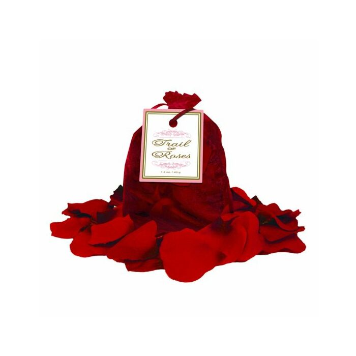 Scia di petali di rose rosse