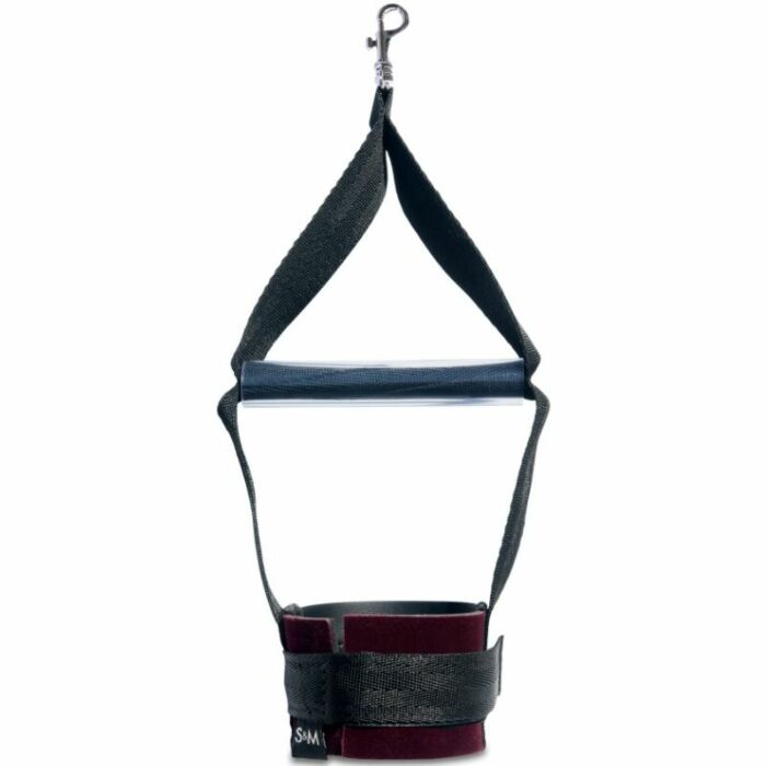 Esposizioni di sesso e malizia incantate