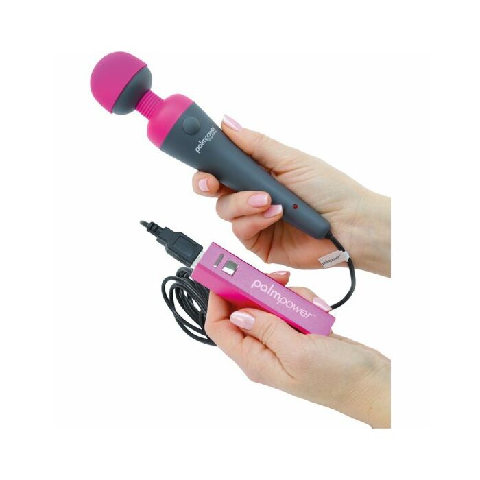 Plug & play di Palmpower