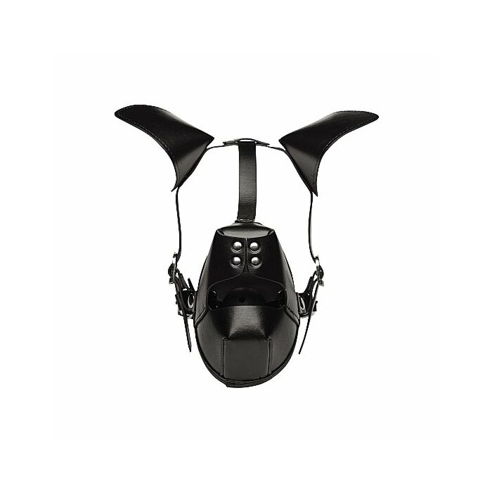 Cucciolo di cucciolo gioca maschera con bavaglio