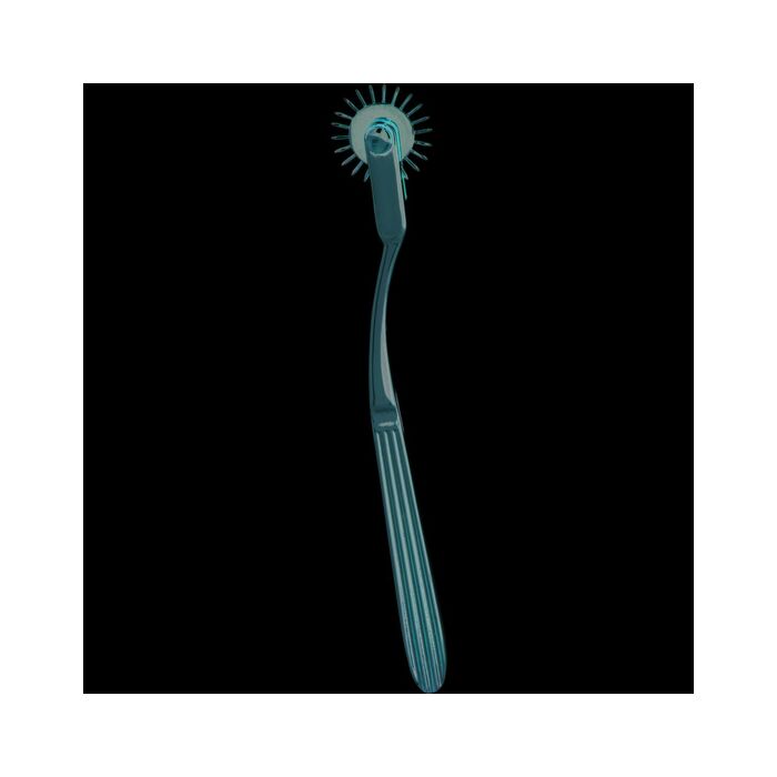 Attira la ruota della passione