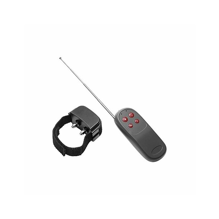 Anello di elettrostimolazione