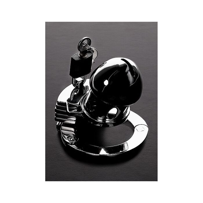 The prison bird - acero inox