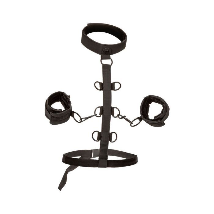 Imbracatura di Restrizione Senza Limiti