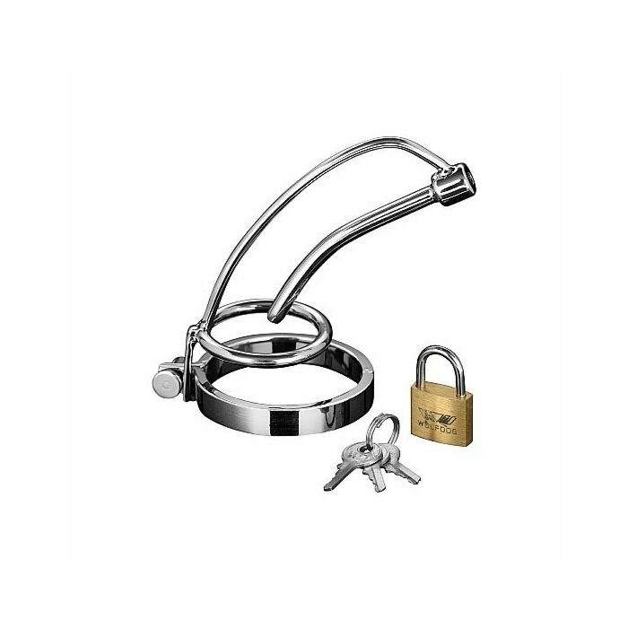 Asilo - tutore urehtral