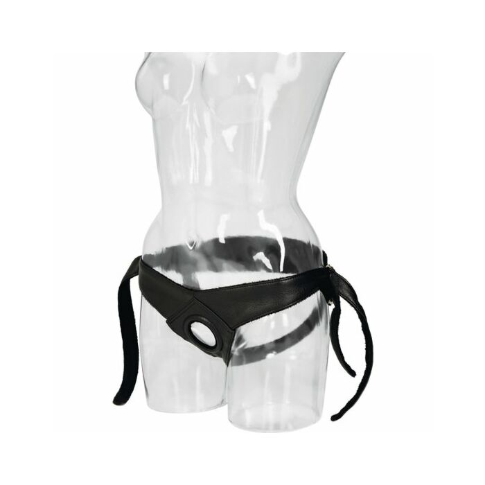 Donne universali premium arns