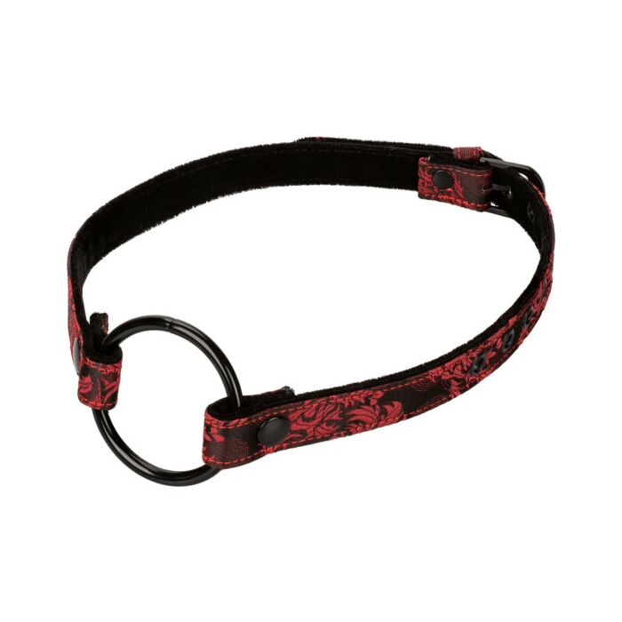 Mordaza boca abierta scandal