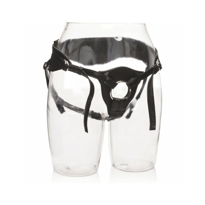 La sua regina dell'imbracatura reale