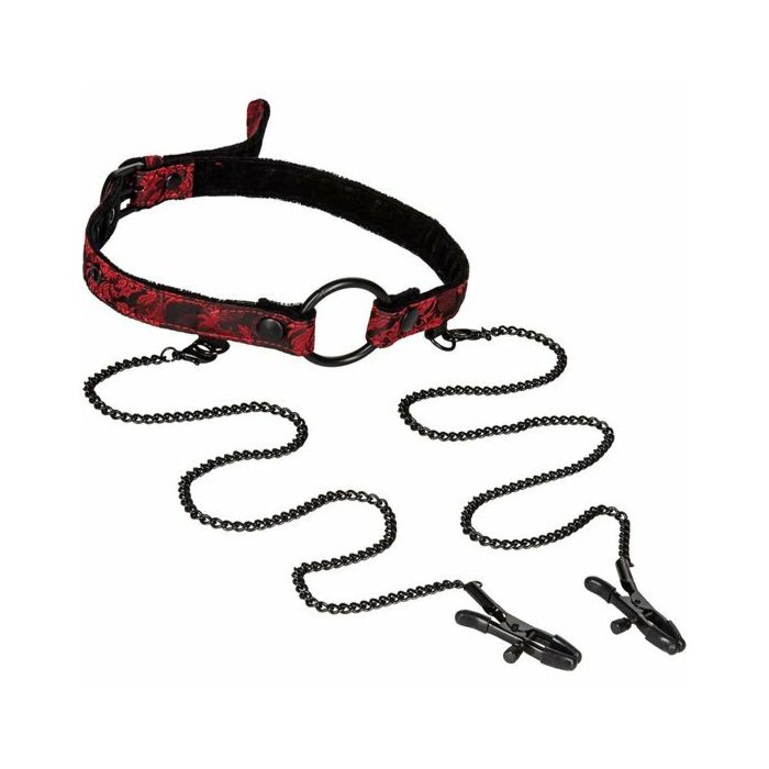 Bavaglio di scandalo con una pinza per bondage