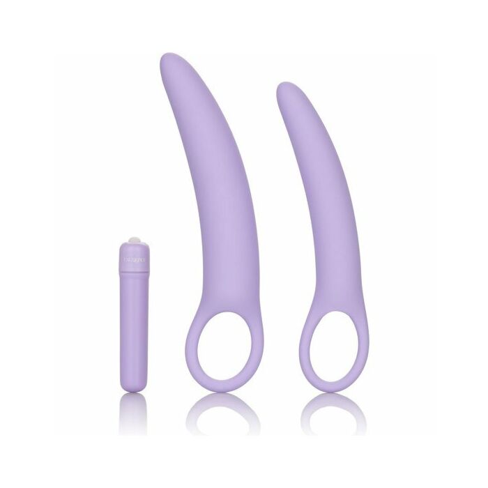 Dlb set dildo in silicone isabelle - viola