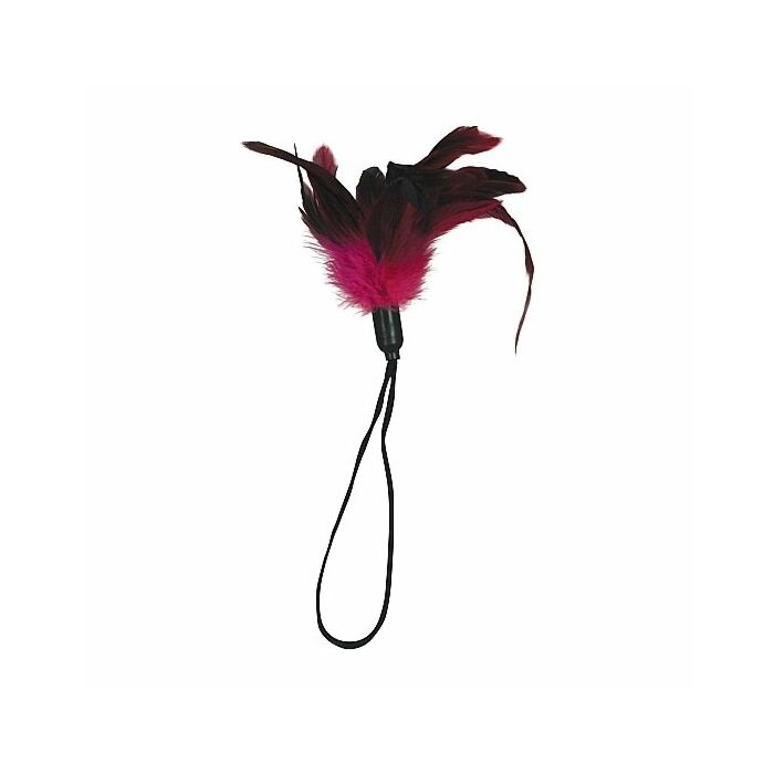 Schede sportive pluma pleasure rosa