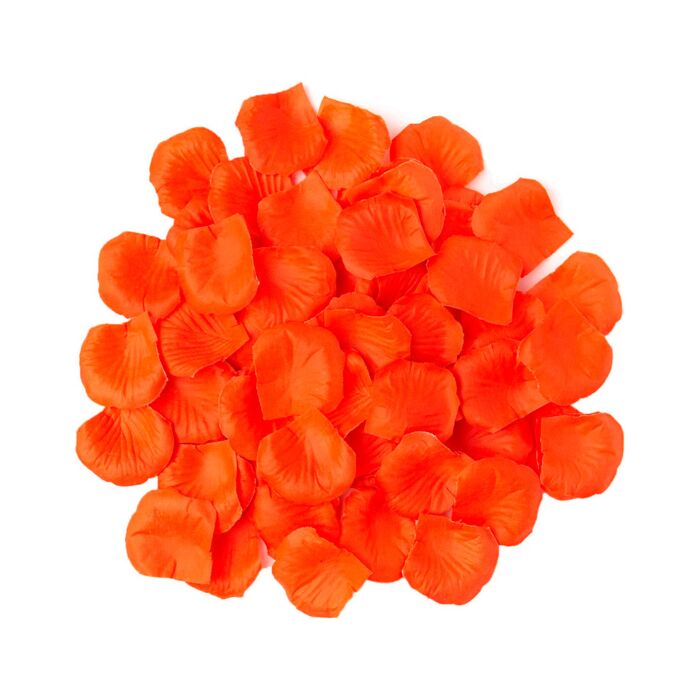 Petali Arancioni Luminosi