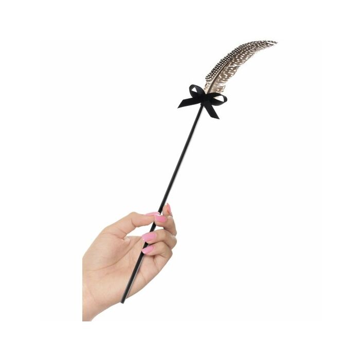 Frusta a catena con fantasia fetish